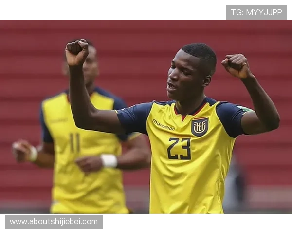 厄瓜多尔与卡塔尔世界杯比赛的赛前分析与预测结果总结